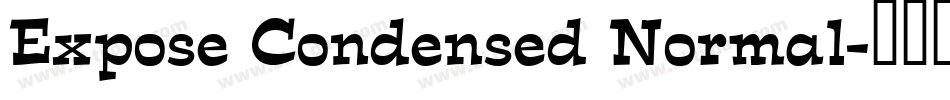 Expose Condensed Normal字体转换